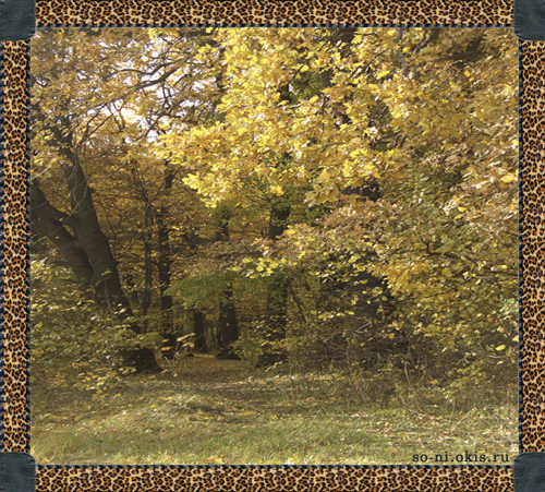  ANIMACJE 61 - forest_autumn.gif