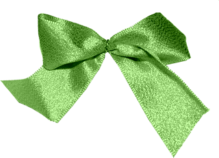embellishments - plaid_2_green_bow_shiny.png