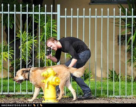 Ryan Gosling  George - Ryan Goslin dog 25.jpg