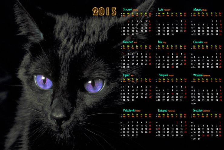 KALENDARZE - Black-Cat -kalendarz.jpg