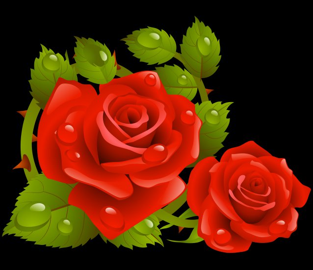 Czerwone róże PNG 26 sztuk duża rozdzielczość - 6 2.png
