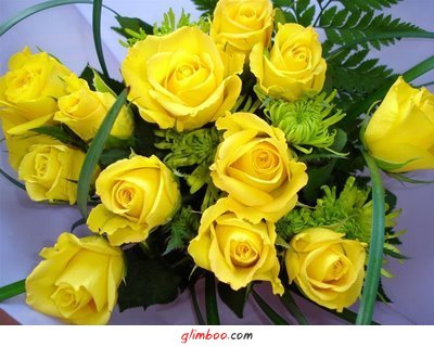 Róże żółte - kwiaty1 45.jpg