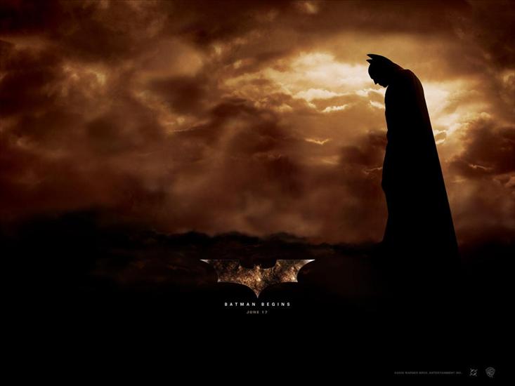 Batman Begins - Batman Begins3.jpg
