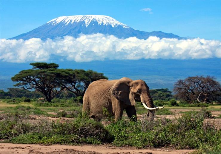 Miejsca, które musisz zobaczyć - Kilimandżaro, Tanzania.jpg